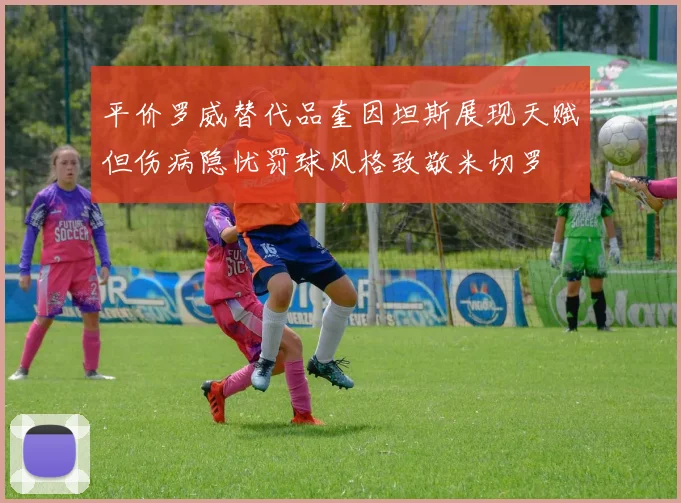 平价罗威替代品奎因坦斯展现天赋但伤病隐忧罚球风格致敬米切罗