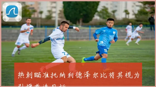 热刺瞄准托纳利德泽尔比将其视为引援首选目标